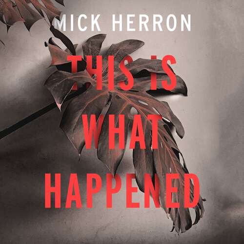 Book cover of This is What Happened