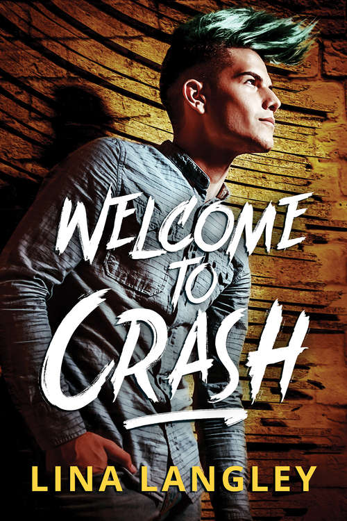 Book cover of Welcome to Crash