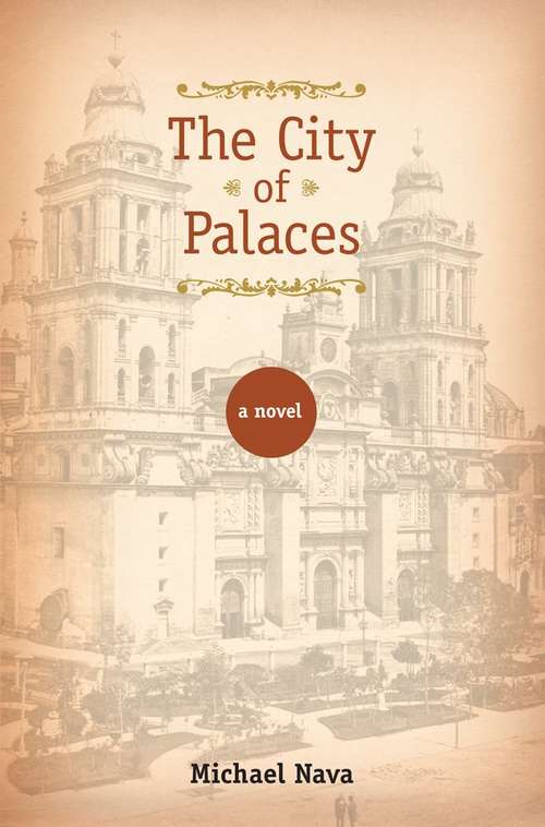 Book cover of The City of Palaces