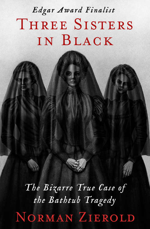 Book cover of Three Sisters in Black: The Bizarre True Case of the Bathtub Tragedy