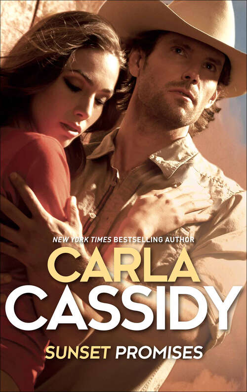 Book cover of Sunset Promises (Cheyenne Nights #1)