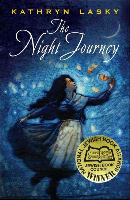 Book cover of The Night Journey