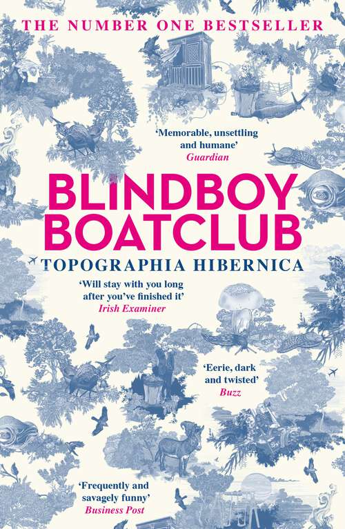 Book cover of Topographia Hibernica: Acclaimed stories from the bestselling Irish author, musician, satirist and podcaster
