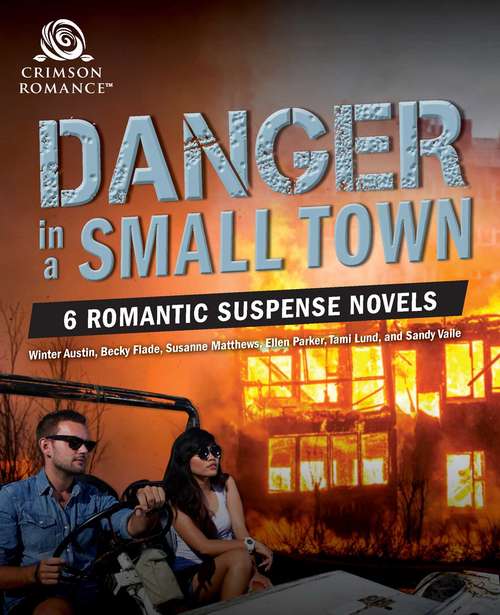 Danger in A Small Town: 6 Romantic Suspense Novels