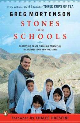 Book cover of Stones into Schools