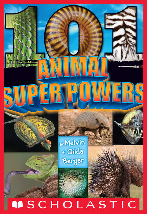 Book cover of 101 Animal Superpowers
