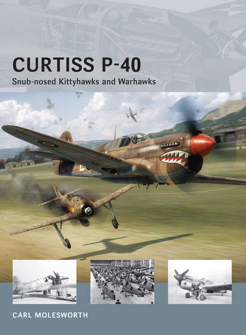 Curtiss P-40 -Snub-nosed Kittyhawks and Warhawks