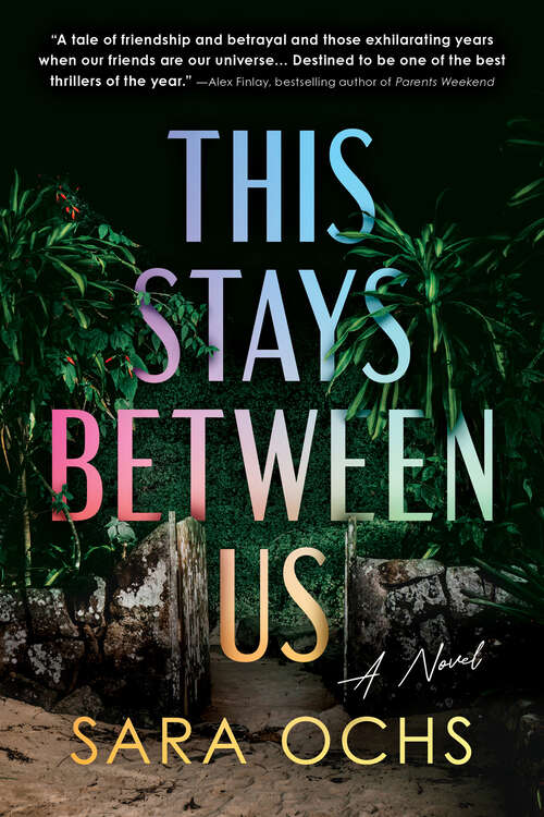 Book cover of This Stays Between Us: A Novel
