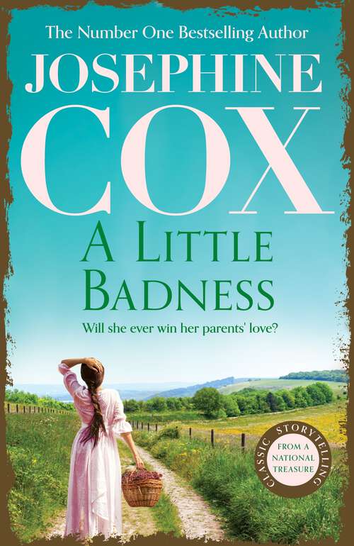 Book cover of A Little Badness: An irresistible and wildly romantic saga