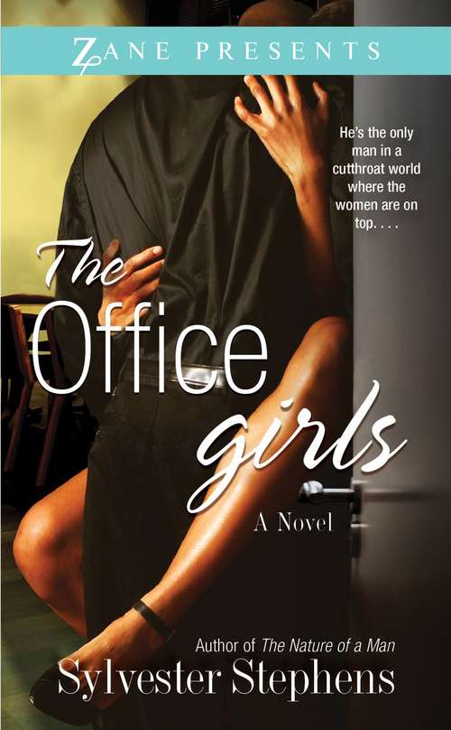 Book cover of The Office Girls