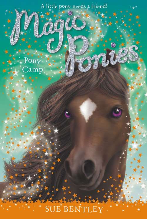 Book cover of Pony Camp #8