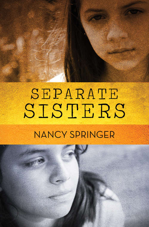 Book cover of Separate Sisters
