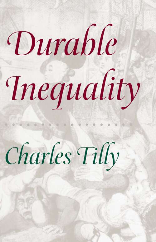 Book cover of Durable Inequality