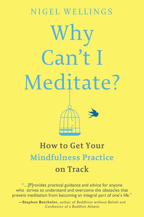 Why Can't I Meditate?: How to Get Your Mindfulness Practice on Track
