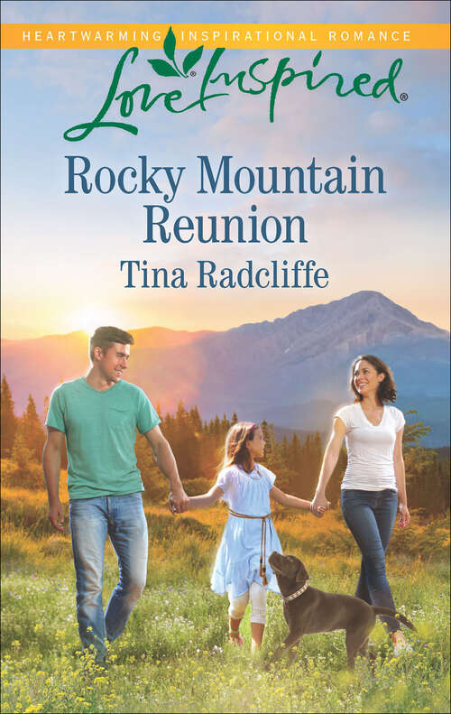 Book cover of Rocky Mountain Reunion
