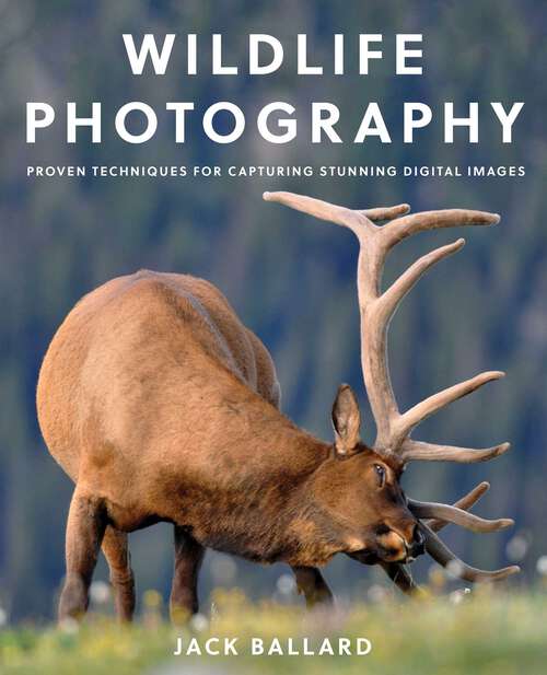 Book cover of Wildlife Photography: Proven Techniques for Capturing Stunning Digital Images