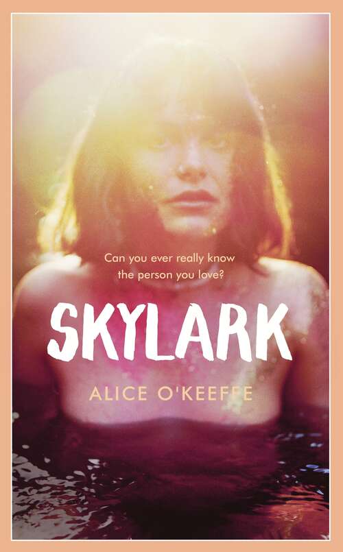 Book cover of Skylark: The new novel from the author of ON THE UP