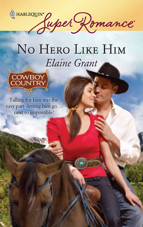 Book cover of No Hero Like Him