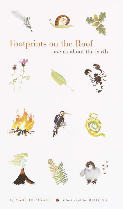 Book cover of Footprints on the Roof