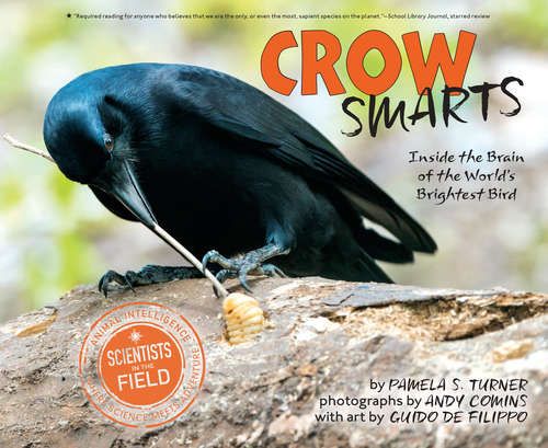 Book cover of Crow Smarts: Inside the Brain of the World's Brightest Bird