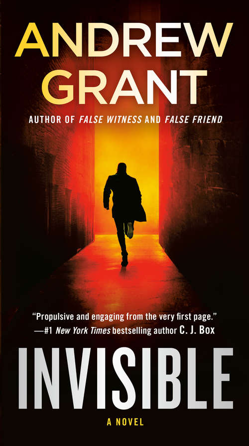 Book cover of Invisible: A Novel (Paul McGrath #1)