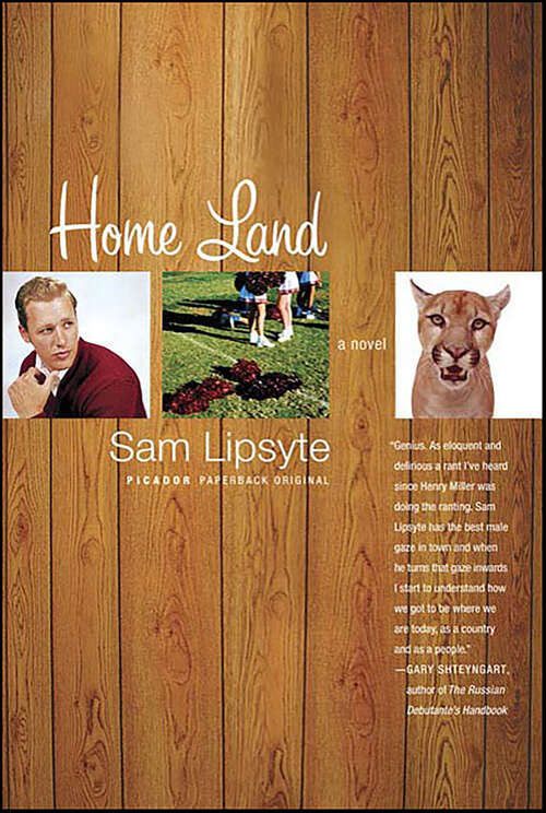 Book cover of Home Land: A Novel