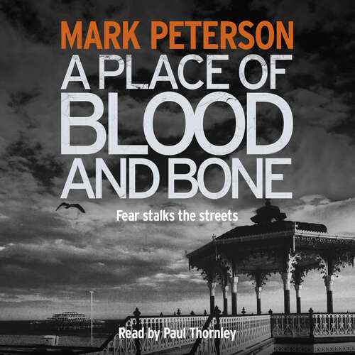 Book cover of A Place of Blood and Bone (DS Minter #2)