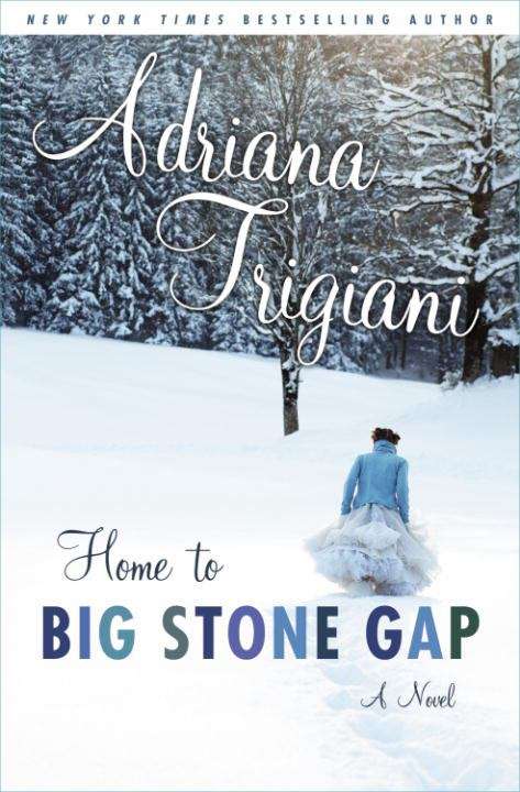 Home to Big Stone Gap: A Novel (Big Stone Gap #4)