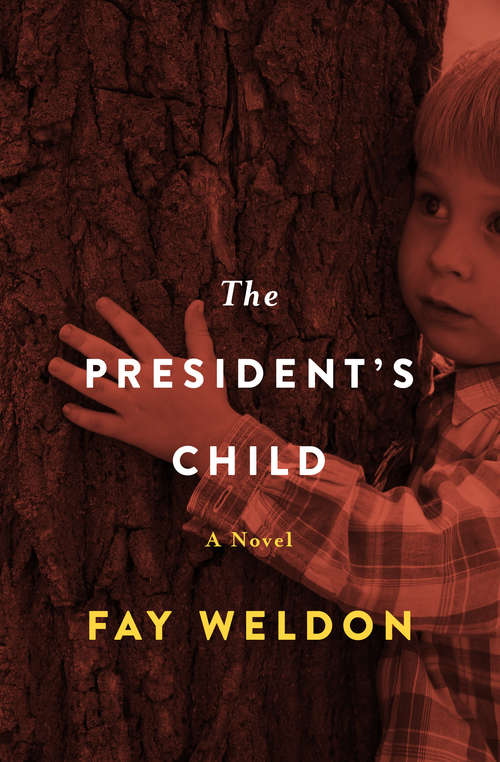 Book cover of The President's Child