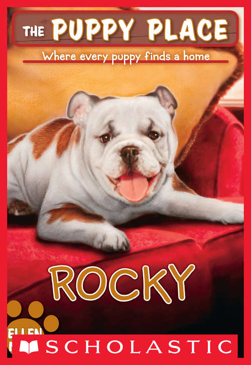 Book cover of The Puppy Place #26: Rocky