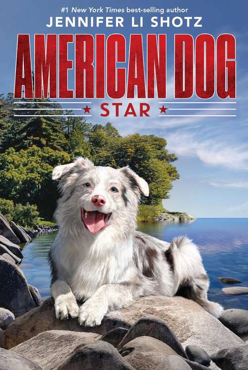 Book cover of Star (American Dog)