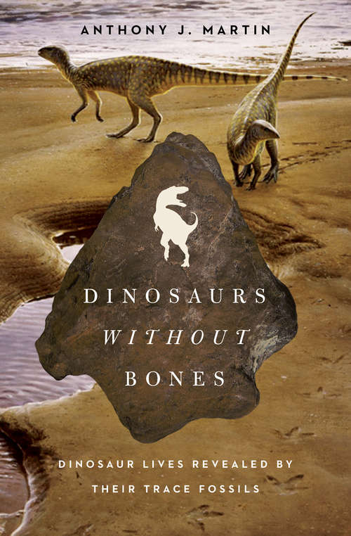 Cover image of Dinosaurs Without Bones