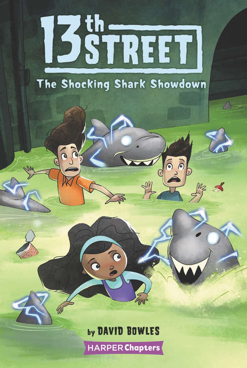 13th Street #4: The Shocking Shark Showdown (HarperChapters #04)
