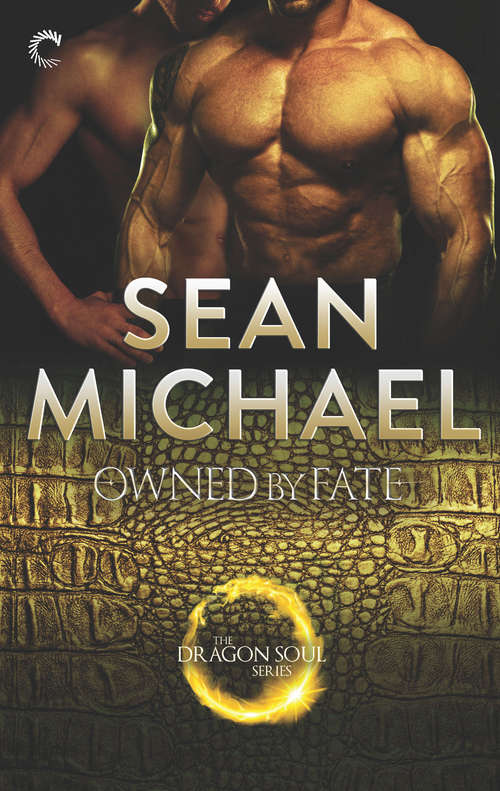 Owned by Fate (The Dragon Soul Series #5)