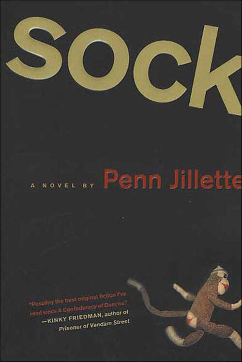 Book cover of Sock: A Novel