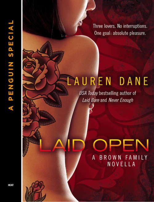 Book cover of Laid Open