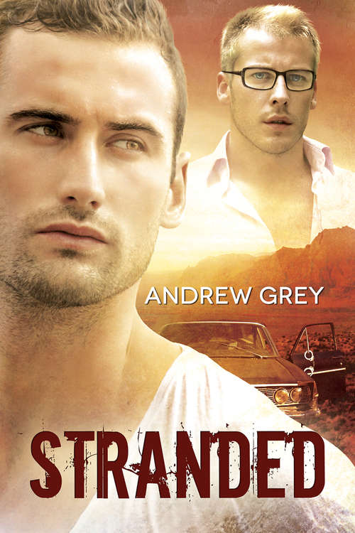 Book cover of Stranded (Stranded #1)
