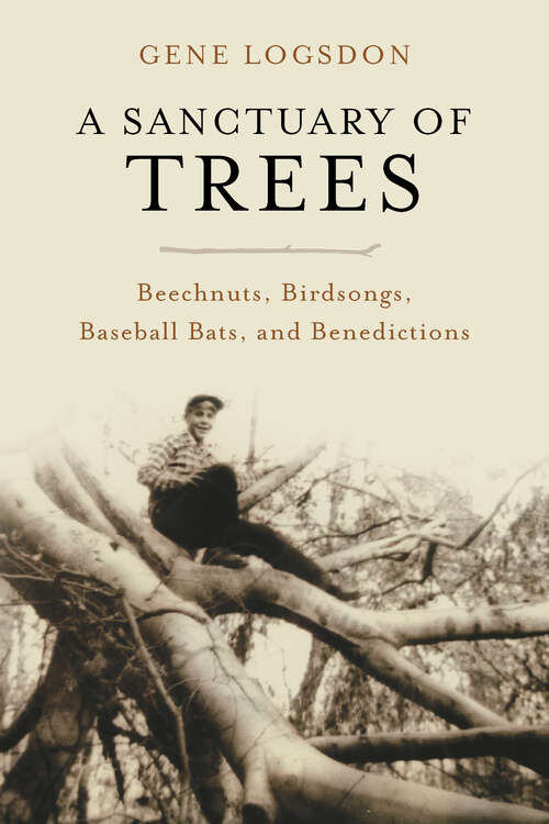 Book cover of A Sanctuary of Trees: Beechnuts, Birdsongs, Baseball Bats, and Benedictions
