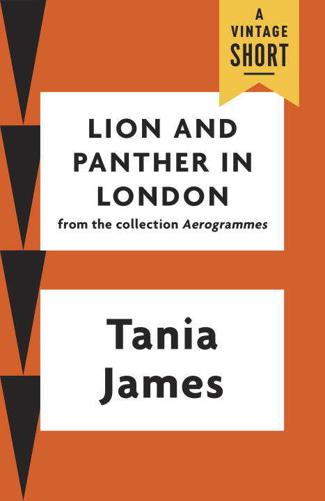 Book cover of Lion and Panther in London