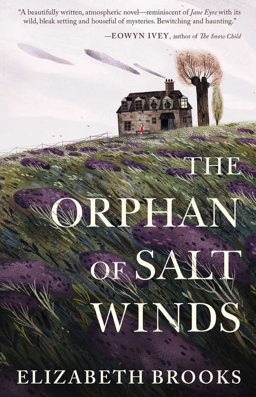 Book cover of The Orphan of Salt Winds