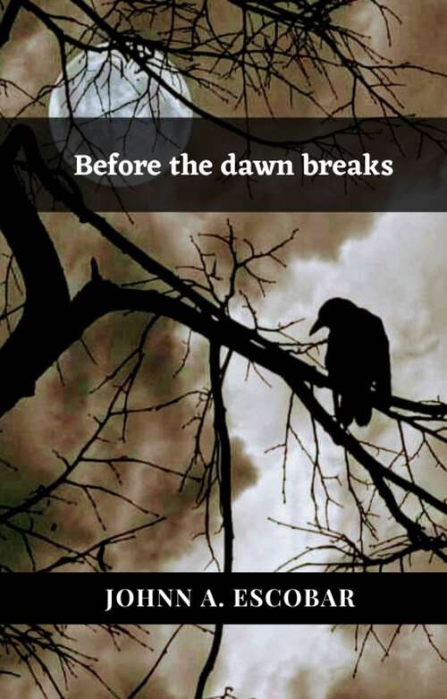 Book cover of Before the dawn breaks
