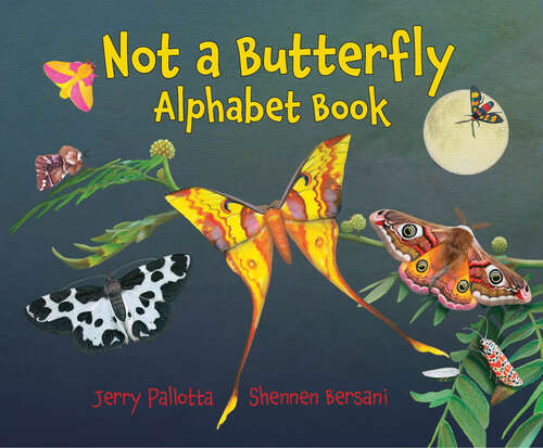 Book cover of Not a Butterfly Alphabet Book: It's About Time Moths Had Their Own Book!