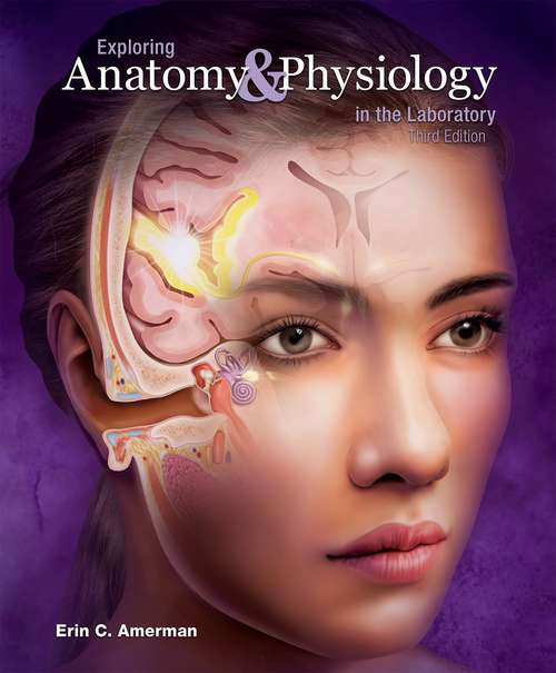 Book cover of Exploring  Anatomy & Physiology in the Laboratory (Third Edition)