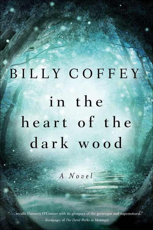 Book cover of In the Heart of the Dark Wood