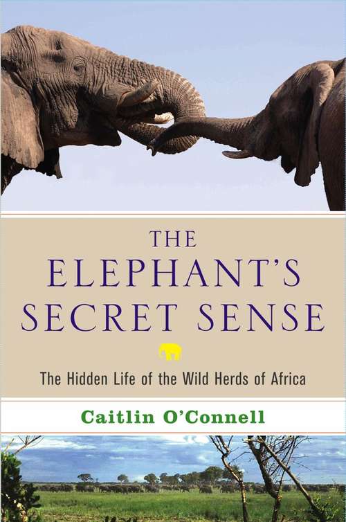 Book cover of The Elephant's Secret Sense