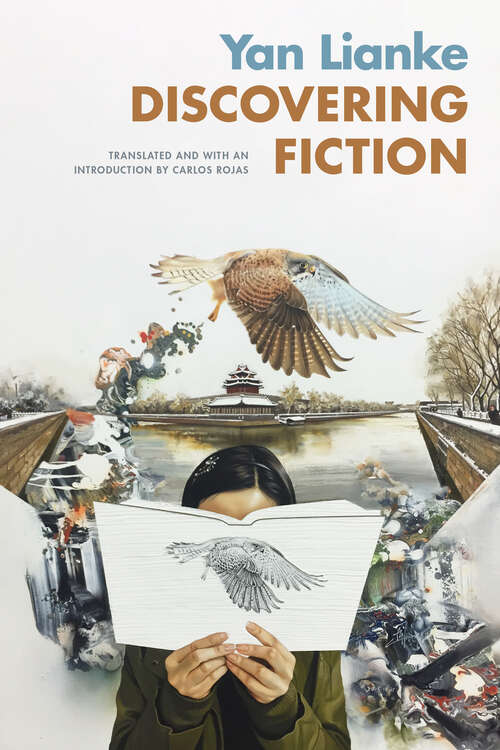 Book cover of Discovering Fiction (Sinotheory)