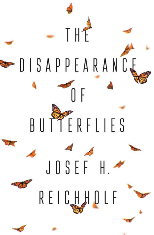 Book cover of The Disappearance of Butterflies