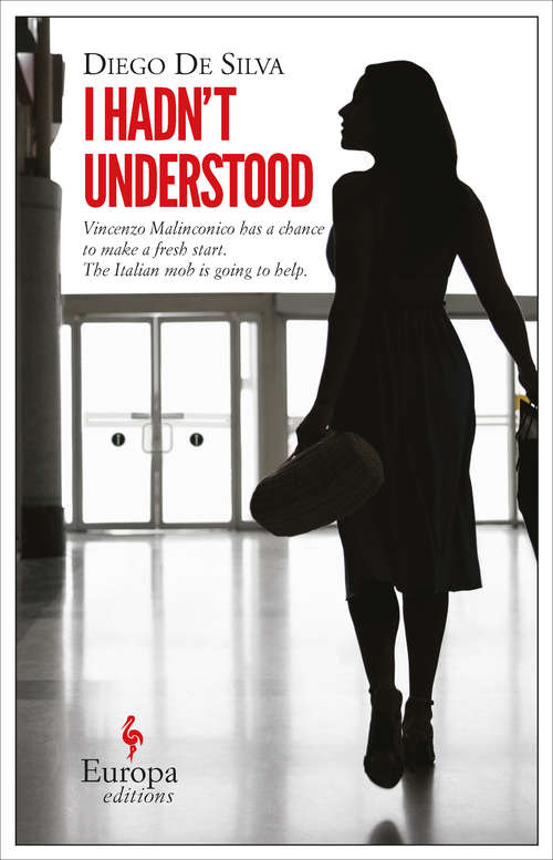 Book cover of I Hadn't Understood (The Vincenzo Malinconico Novels #1)