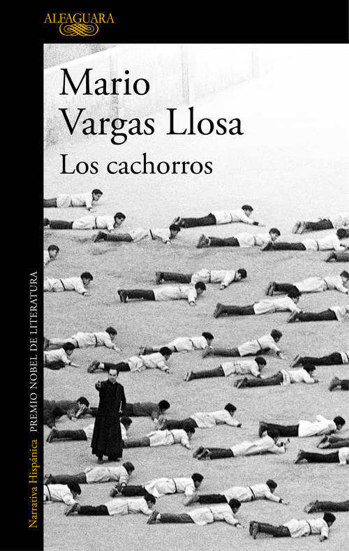 Book cover of Los cachorros