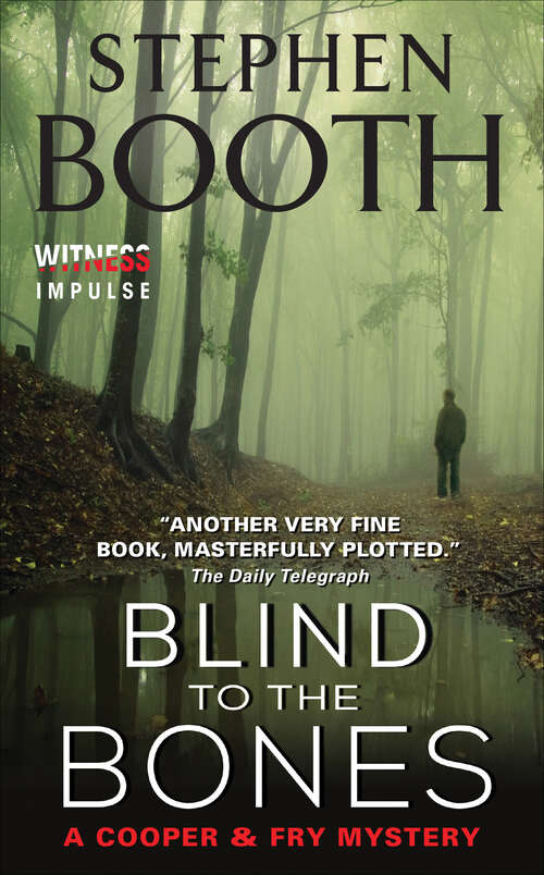 Book cover of Blind to the Bones: A Cooper And Fry Mystery (Cooper & Fry Mysteries #4)
